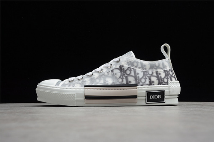 D10R B23 Low Top Logo Oblique Sneakers