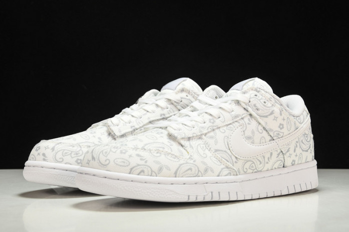 Nike Dunk Low DJ9955-100