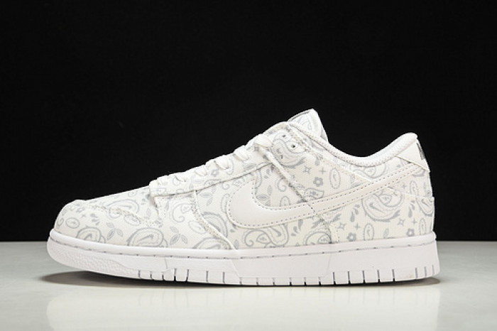 Nike Dunk Low DJ9955-100