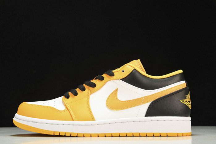 Nike SB Low 553558-701